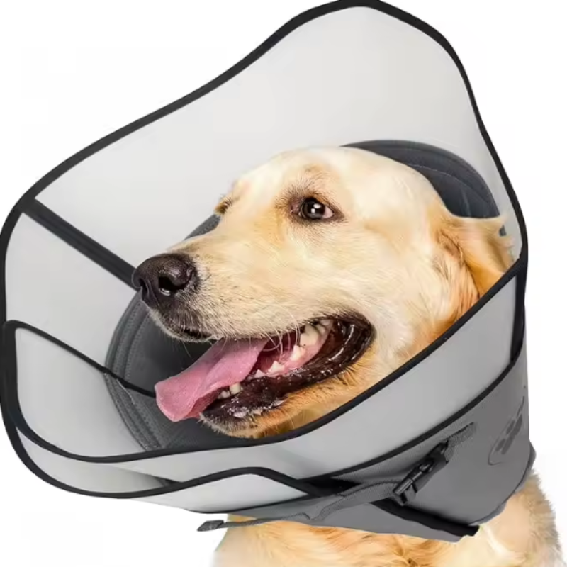 Vet dog cone collar