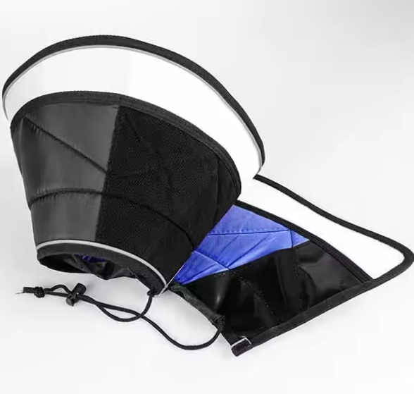 Large dog recovery collar