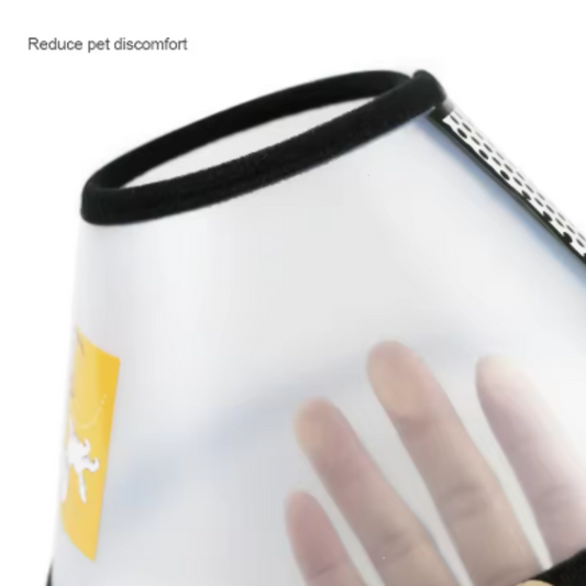 Dog head collar after surgery