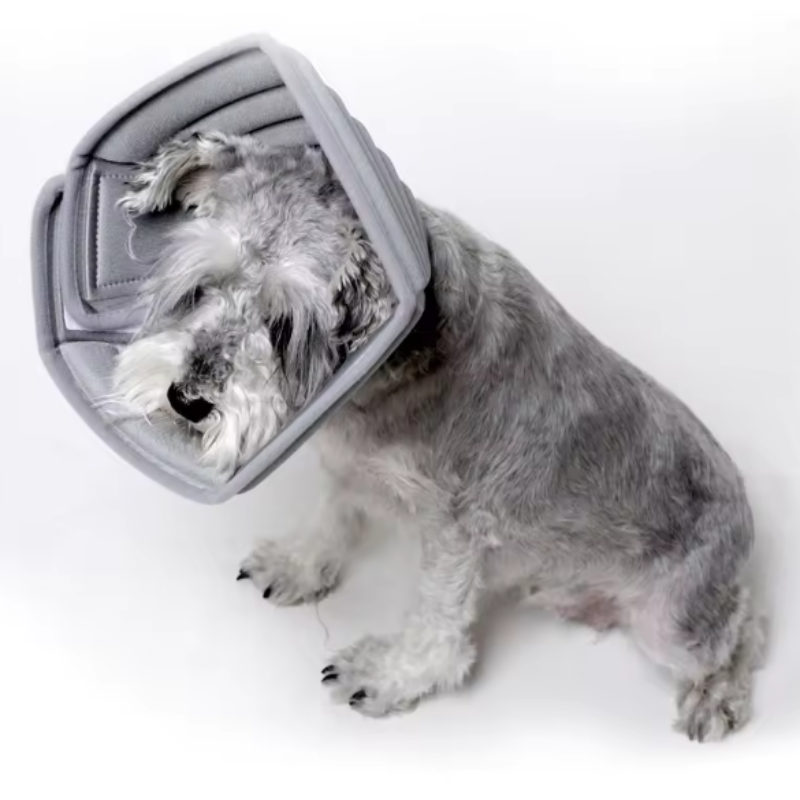 Dog anti scratch collar