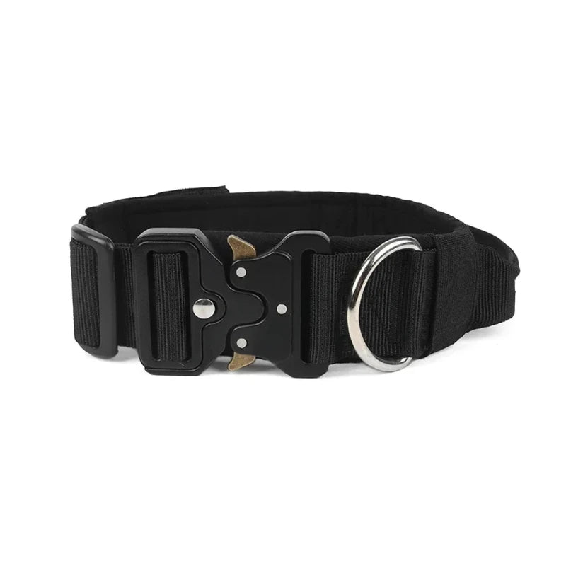 Black nylon dog collar