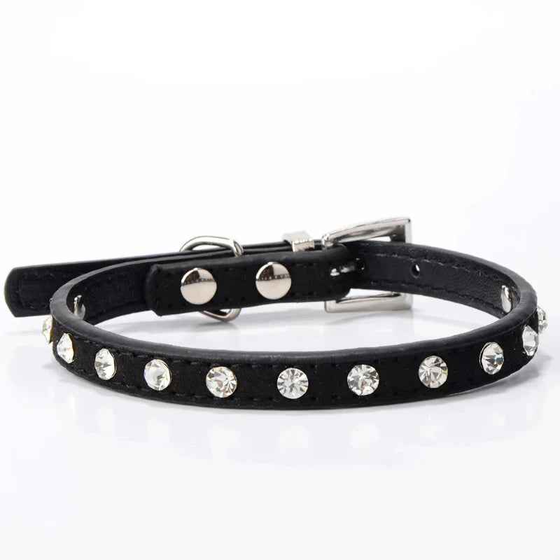 Small black dog collar