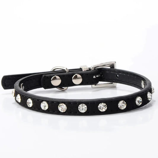 Small black dog collar