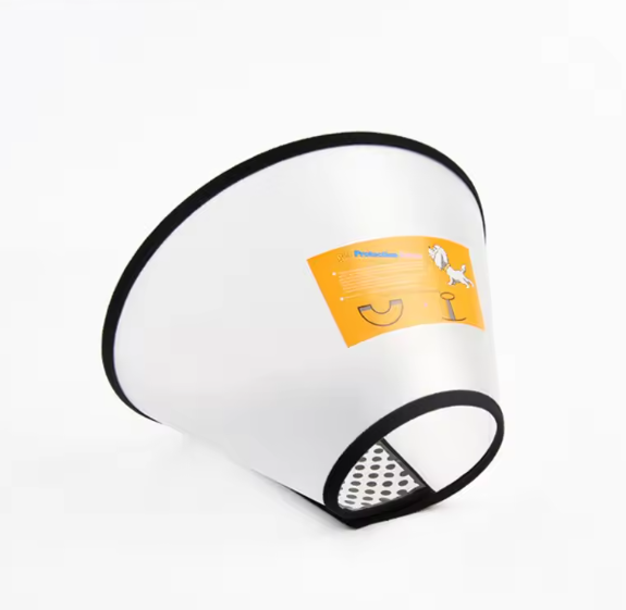 Small dog elizabethan collar