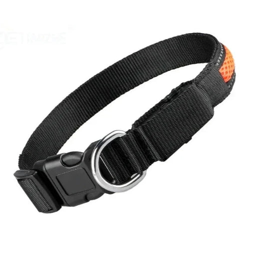 Reflective light up dog collar