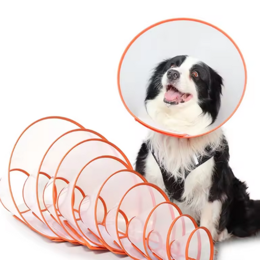 Dog collar wound protector