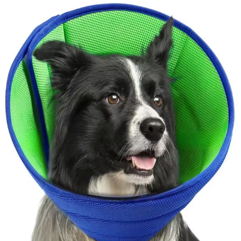 Dog protective collar