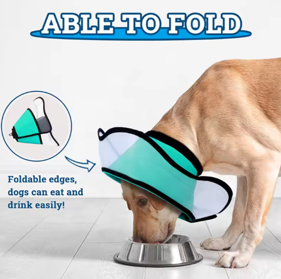 Large dog cone collar