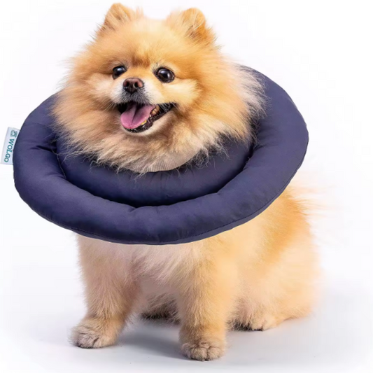Soft elizabethan collar dog
