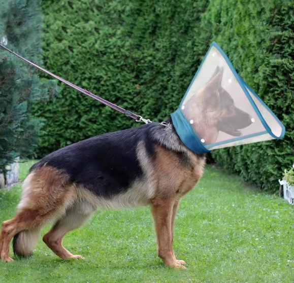 Anti scratch lick bite dog collar