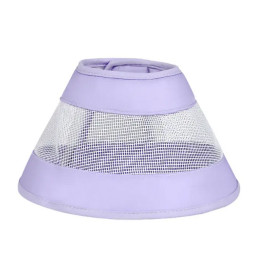 Dog collar for surgery recovery