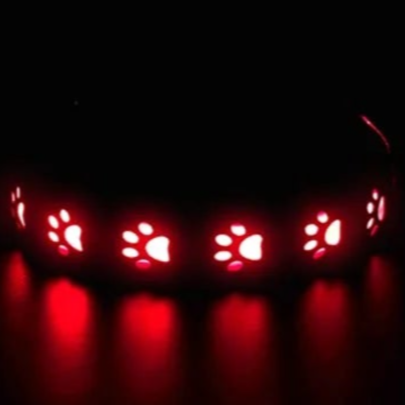 LED dog collar rechargeable