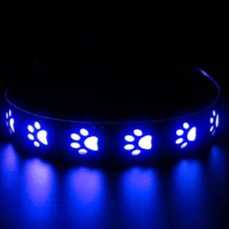 Illumiseen led dog collar