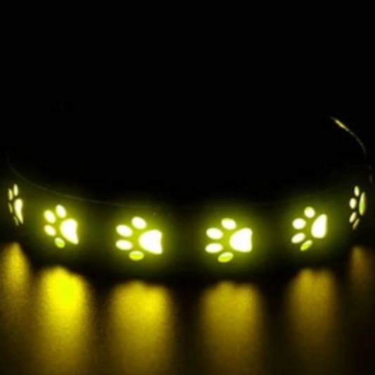 Small dog light up collar
