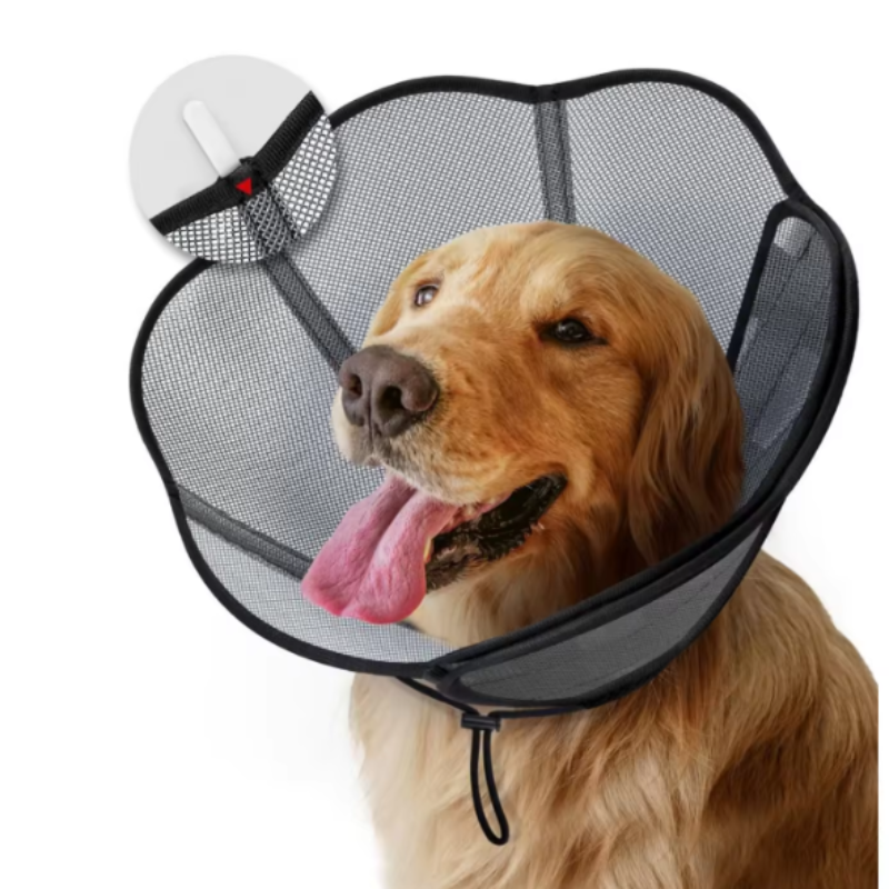 Pro cone dog collar
