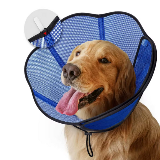 Dog cone recovery collar