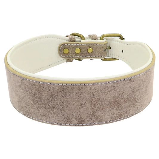 Grey leather dog collar