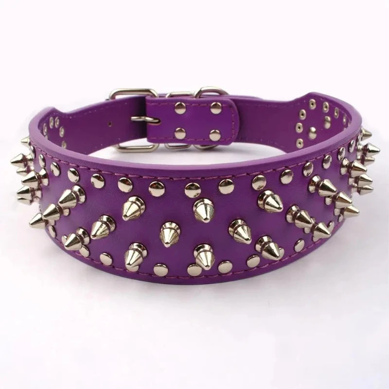 Purple leather spiked dog collar