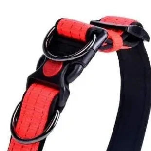 Dog collar for night walking