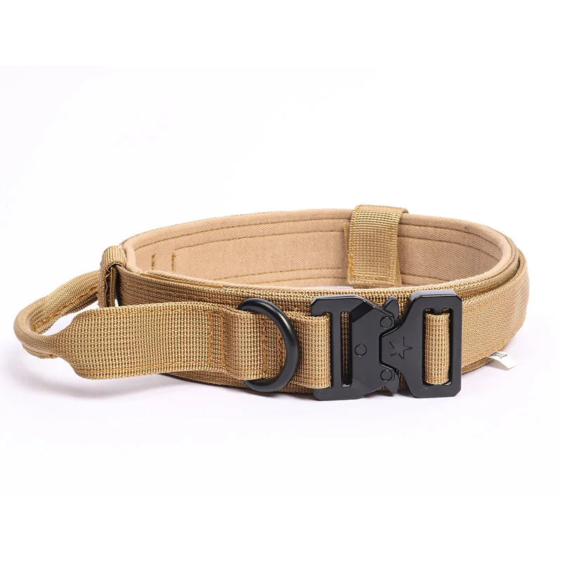 How to collar train a dog | A Positive Approach – Lovedogcollar