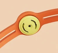 Amber flea collar