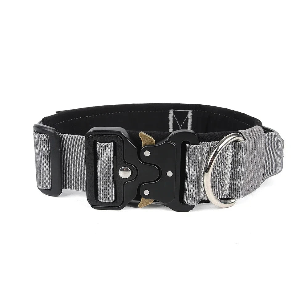 2 inch dog collar with handle