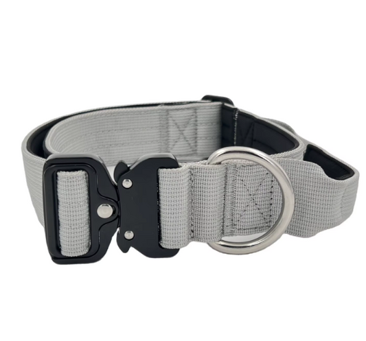 Dangerous Threads Hundehalsband-Schnallen Set – 12 Sets, 3/4 Zoll, Nickel-Finish, Mit Dee-Ringen, Aus Massivem Stahl