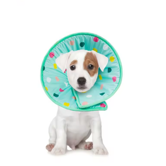 Fabric elizabethan dog collar