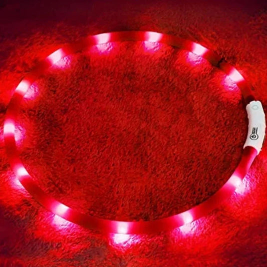 Light up puppy collar